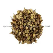 Herbs- Gokharu kada (गोखरु काडा) 200g